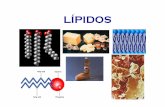 LÍPIDOS - Medicina Univalle 2014medicinaunivalle14.weebly.com/uploads/2/6/7/2/26724831/13_lipido… · Son lípidos de membrana, son anfipáticos y están constituidos por el alcohol