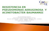 José Yesid Rodríguez Quintero Centro de Investigaciones ...cimce.org/descargas/info_infecto/RESISTENCIA_EN_PSEUDOMONAS… · Bacilo gram negativo no fermentador oxidasa positivo.