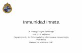 Inmunidad Innata · Inmunidad Innata Dr. Rodrigo Hoyos Bachiloglu Instructor Adjunto . Departamento de Enfermedades Infecciosas e Inmunología Pediátrica . Escuela de Medicina PUC
