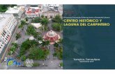 Programa Parcial de Ordenamiento y Desarrollo Urbano CENTRO …tampico.gob.mx/wp-content/themes/Tampico-ReyOvando/... · 2020-02-19 · Arq. Duncan Velázco Ponce Por parte del Ayuntamiento
