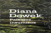 Se inaugura “Diana Dowek. Paisajes insumisos” en el Bellas ... · El Museo Nacional de Bellas Artes inaugurará el próximo 12 de abril, a las 18, la muestra “Diana Dowek. Paisajes