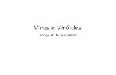 Vírus e Viróides - edisciplinas.usp.br · Vírus – histórico Hieroglifo egípcio 3700 a.c. Vacinas Sabin e Salks Rhamses V Egito, 1146 a.c. Edward Jenner, 1789: primeira vacina