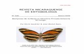 REVISTA NICARAGUENSE DE ENTOMOLOGIAbio-nica.info/RevNicaEntomo/143-Mariposas-EstanciaElCongo.pdf · patrimonio natural de Nicaragua y en apoyo a este esfuerzo se plantea este primer