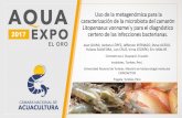 Título de la conferencia - Cámara Nacional de Acuaculturaaquaexpoeloro.cna-ecuador.com/.../Miercoles/8JuanQuimi.pdf · 2017-07-31 · Uso de la metagenómica para la caracterización