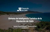 Diputación de Cádiz Sistema de Inteligencia Turística de la · 2019-02-22 · tecnológicos que satisfacen las necesidades identificadas a través de ... formato común y normalizado.