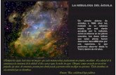 LA NEBULOSA DEL ÁGUILA · 2018-05-04 · La nebulosa planetaria más cercana, a 700 años luz, tieneundiámetrode2años luz. Compuesta de gas y polvo expulsado por una estrellacentralenlasetapas