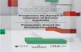 EVALUACIÓN DE PROCESOS - Tlaxcalaevaluacion.tlaxcala.gob.mx/images/stories/documentos/... · 2019-07-15 · Documentar los procesos del PAISA a través de la elaboración de un Manual