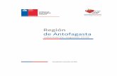 Región de Antofagasta - Oficina de Estudios y Políticas Agrarias - … · 2018-11-12 · Región de Antofagasta, Información Censo 2007 CULTIVOS Información Censal Superficie