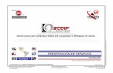 Presentacion Proyecto-ISO9001-2008 [Modo de compatibilidad]€¦ · ISO 9001/ ISO 14001 Lineamientos para Auditar Sistemas de Gestión de ... ISO/TS 16949:2009 Sistema de Gestión