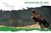 OBSERVACIÓN DE AVES - Euskadi.eus · 2011-04-13 · Introducción Descubrir Euskadi a través de las aves Existen muchas formas de viajar y descubrir un país. Le presentamos a continuación