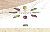 Catálogo deClones...herramienta de consulta para la producción de plántulas de cacao (híbridas e injertas), en las líneas de acción de: fomento, rehabilitación y renovación