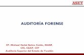 AUDITORÍA FORENSE...Antecedentes SNF . Definición Auditoría Forense Objetivos de la Auditoría Forense ... Fases de la Auditoría Forense Proyecto Yucatán INDICE 4 . SIGNIFICADO