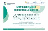Servicio de Salud de Castilla-La Mancha · 2011-12-21 · Proyecto Serendipia del SESCAM Objetivo común: Crear una herramienta de comunicación interprofesional eficiente entre los