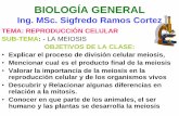 BIOLOGÍA GENERAL - Universidad de El Salvador - UESOBJETIVOS DE LA CLASE: •Explicar el proceso de división celular meiosis, •Mencionar cual es el producto final de la meiosis