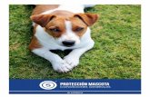PROTECCIÓN MASCOTA - Banorte€¦ · para el transporte aéreo de mascotas. A petición del dueño y/o Beneficiario, se indicaran los procedimientos para el transporte aéreo de