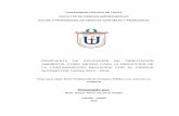PROPUESTA DE APLICACIÓN DE TRIBUTACION ...repositorio.upt.edu.pe/bitstream/UPT/295/1/Hospinal...parque automotor de Tacna y como posible solución la aplicación de tributación ambiental