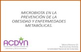 Microbiota en la prevención de la Obesidad y enfermedades ...acdyn.cr/wp-content/uploads/2019/02/microbiota-en... · Las limitaciones generales de todos estos ensayos son tamaños