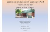 Escuela de Educación Especial Nº33 «Santa Cecilia» para ... · Escuela de Educación Especial Nº33 «Santa Cecilia» ... • El objetivo específico de nuestro trabajo en el