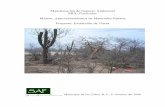 Extracción de Tierra - Gobsinat.semarnat.gob.mx/dgiraDocs/documentos/bcs/e... · ELEMENTOS TÉCNICOS QUE SUSTENTAN LA INFORMACIÓN SEÑALADA EN LAS FRACCIÓNES ANTERIORES …179