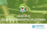 CACAO EN EL DESARROLLO ALTERNATIVO EN COLOMBIA · Con proyectos de cacao Familias beneficiadas Con proyectos de cacao 2012-2015 5.300 Departamentos con implementación de proyectos