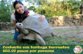 aluxes.cuartopoder.mxAluxes Palenque es un refugio de animales y un centro de conservación y rescate de Vida Silvestre de la región, ofrecemos un novedoso y atractivo concepto de