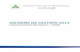 Comisión Nacional de Microfinanzas – CONAMI · 13.4 ANEXO N° 4 - FIRMAS DE AUDITORÍA EXTERNA REGISTRADAS EN LA CONAMI..... 51 13.5 ANEXO N° 5 - SUCURSALES POR DEPARTAMENTO DE