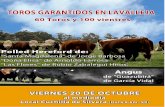 TOROS GARANTIDOS EN LAVALLEJA · 2017-10-18 · TOROS GARANTIDOS EN LAVALLEJA !!! Estimados clientes y amigos, las Cabañas Santa Magdalena, Doña Elisa, Las Flores y Guazubirá tienen