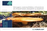 Editado por Centro de Investigación y Extensión Forestal ... · taciones forestales de coníferas (6 especies), en praderas con uso ganadero (4 espe- cies), y asociados a tocones