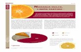 TEMA NARANJA DULCE, LIMÓN PARTIDO ε↵ · En la actualidad, los cítricos representan el cultivo de ... mandarina y el limón, y EE.UU., país líder en la venta de la toronja.