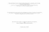 PONTIFICIA UNIVERSIDAD CATÓLICA DE VALPARAÍSOopac.pucv.cl/pucv_txt/txt-9500/UCC9700_01.pdf · 2019-10-20 · PONTIFICIA UNIVERSIDAD CATÓLICA DE VALPARAÍSO FACULTAD DE CIENCIAS