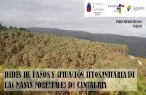 Presentación de PowerPoint · Chancro resinoso (Fusarium circinatum) Tizón del pino (Diplodia sapinea) Procesionaria del pino (Thaumetopoea pityocampa) Dioryctria sylvestrella -