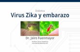 Didáctica Virus Zika y embarazo - UCV · Universidad Central de Venezuela Facultad de Medicina Virus Zika Vías de transmisión Vector Materno-fetal Sexual Transfusiones Células