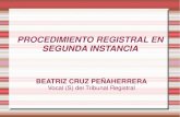 Sunarp - PROCEDIMIENTO REGISTRAL EN SEGUNDA INSTANCIA · 2013-04-03 · EL TRIBUNAL REGISTRAL Es el órgano de la SUNARP con competencia nacional que conoce y resuelve en segunda