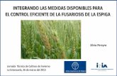 Presentación de PowerPoint - INIA La Estanzuela... · Indice de Fusariosis de la espiga (%) Fusariosisde la espiga promedio registrada en los cultivares en evaluación en distintas