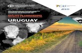 TÉCNICAS E INSTITUCIONALES URUGUAY · Recuadro 5. Arreglos institucionales relacionados con la gestión de riesgos agropecuarios Recuadro 6. Planificación y monitoreo para la resiliencia