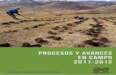 PROCESOS Y AVANCES EN CAMPO 2011-2012 · acciones de campo en las regiones de Cusco y Cajamarca en los Andes peruanos. La intensificación de la pequeña agricultura que el proyecto