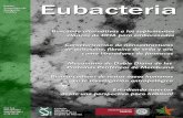 Revista Eubacteria - Universidad de Murcia · obtenido de Schizochytrium sp., y un extracto de yema de huevo rico en DHA en forma de FL. El estudio se dio por finalizado justo antes