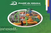 Prooil de México es una empresa líder en la auto-prooil.com.mx/wp-content/uploads/2018/05/cvprooil2017.pdf · 4504000216 2016 Válvula de control tipo globo modelo AGVB marca Azbil.