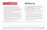 CHARLA Sílice - Silica Safe€¦ · controles no son suficientes, utilice protección respiratoria. Mantenga habitualmente sistemas de control de polvo para no aumentar la exposición.