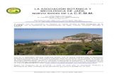 Artículo Congreso CEMM Sicilia · 21:00 horas Reunión de grupos de trabajo para discutir posibles áreas de búsqueda Miércoles 18, a las 18:00 horas, Consejo de Administración