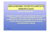 ORGANISMO GENETICAMENTE MODIFICADO · TOMATE: Maduración sin ablandamiento del fruto. 5/29/2007 TOMATE FLAV- SARV PRIMER PRODUCTO TRANSGÉNICO COMERCIALIZADO (1994) Gen: RNA antisentido