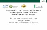 Proyecto INDAP UNAF Programa FIDA/MERCOSUR Escuela de ... · La promoción de grupos y cooperativas, de nuevas alternativas y de experiencias de articulación La asistencia técnica