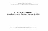 LINEAMIENTOS Agricultura Suburbana 2010 · Subprograma Porcino / 63 Subprograma de Ganado Mayor / 65 Subprograma Acuicultura / 67 EVALUACIÓN DE MUNICIPIOS Y PROVINCIAS / 68 . La