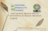 SITUACION, RETOS DE LA OVINOCULTURA EN MEXICO: CARNEspo.uno.org.mx/wp-content/uploads/2011/07/situac...Comportamiento del Inventario Ovino en México 1990-2008 . Comportamiento de
