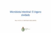 Microbiota intestinal: El órgano olvidado - racve.esracve.es/files/2020/03/2020-03-02-PRESENTACION-DR.-SANTIAGO-VEGA.pdf · Microbiota intestinal: El órgano olvidado De la microbiota