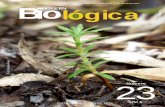 Bio BOLETIN lógicarevistaboletinbiologica.com.ar/Pdfs/Biologica23completo.pdfmedicinales, industriales y ornamentales (Parodi, 1978-1980). En la actualidad las plantas siguen teniendo