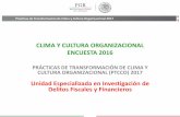 CLIMA Y CULTURA ORGANIZACIONAL ENCUESTA 2013 · Prácticas de Transformación de Clima y Cultura Organizacional 2017 Introducción De los factores básicos surgen factores compuestos,