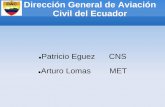 Dirección General de Aviación Civil del Ecuador SIP_ECU.pdf · Ecuador ha tenido crecimiento debido a una política de incentivo de subvención de combustible para lograr modernización