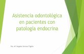 Asistencia odontológica en pacientes con patología endocrinaasignatura.us.es/Apespeciales/Pdf/Tema6-E-18-19.pdfEl sistema endocrino comprende una serie de órganos y tejidos distribuidos