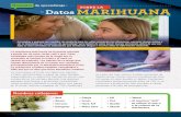 Momentos de aprendizaje - Datos sobre la marihuana...Momentos de aprendizaje - Datos sobre la marihuana Los padres y quienes son modelos de conducta para los niños convierten las